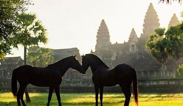 vietnam cambodia tours