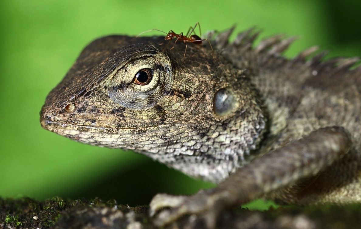 NAM CAT TIEN CROCODILE LAKE TOUR