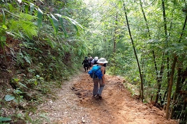 sapa trekking tour