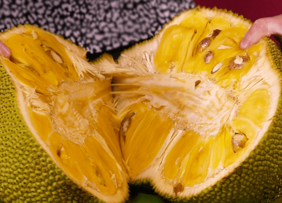Jackfruit (Mít)